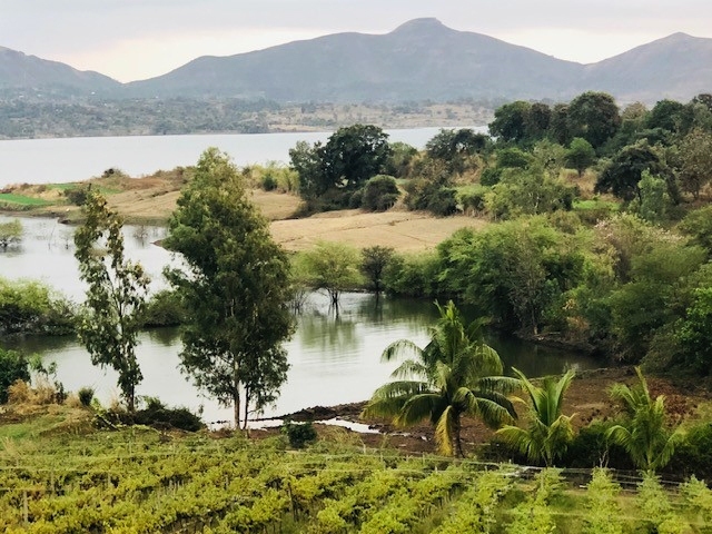 Vineyards In India