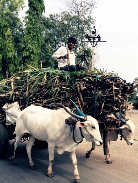India